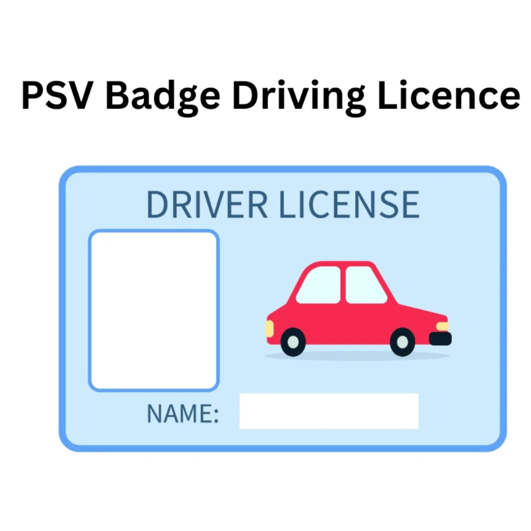 light vehicle badge